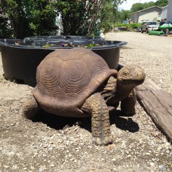 Turtle sculpture at Masterson's