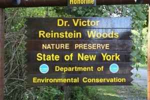 reinstein woods